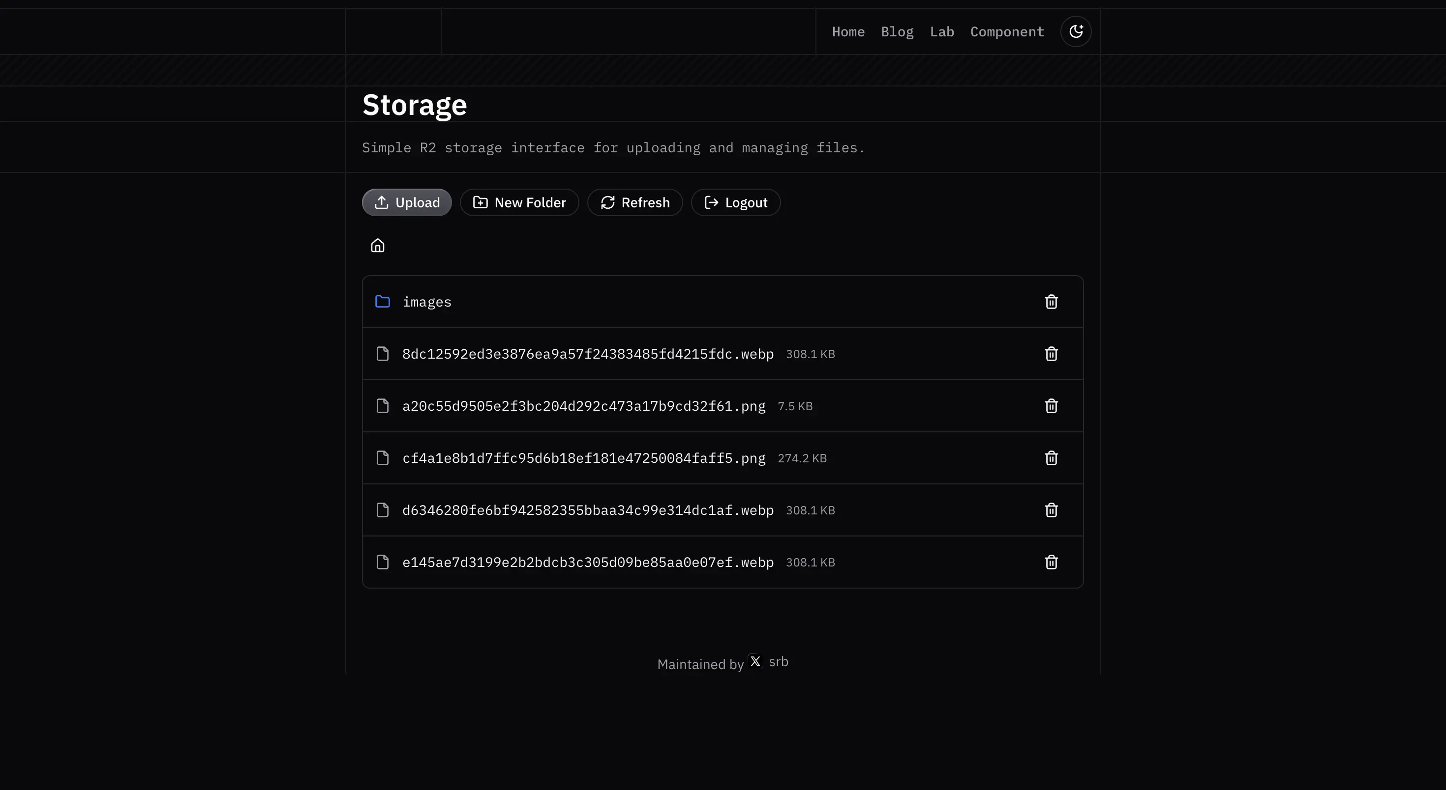 Storage Manager dark preview