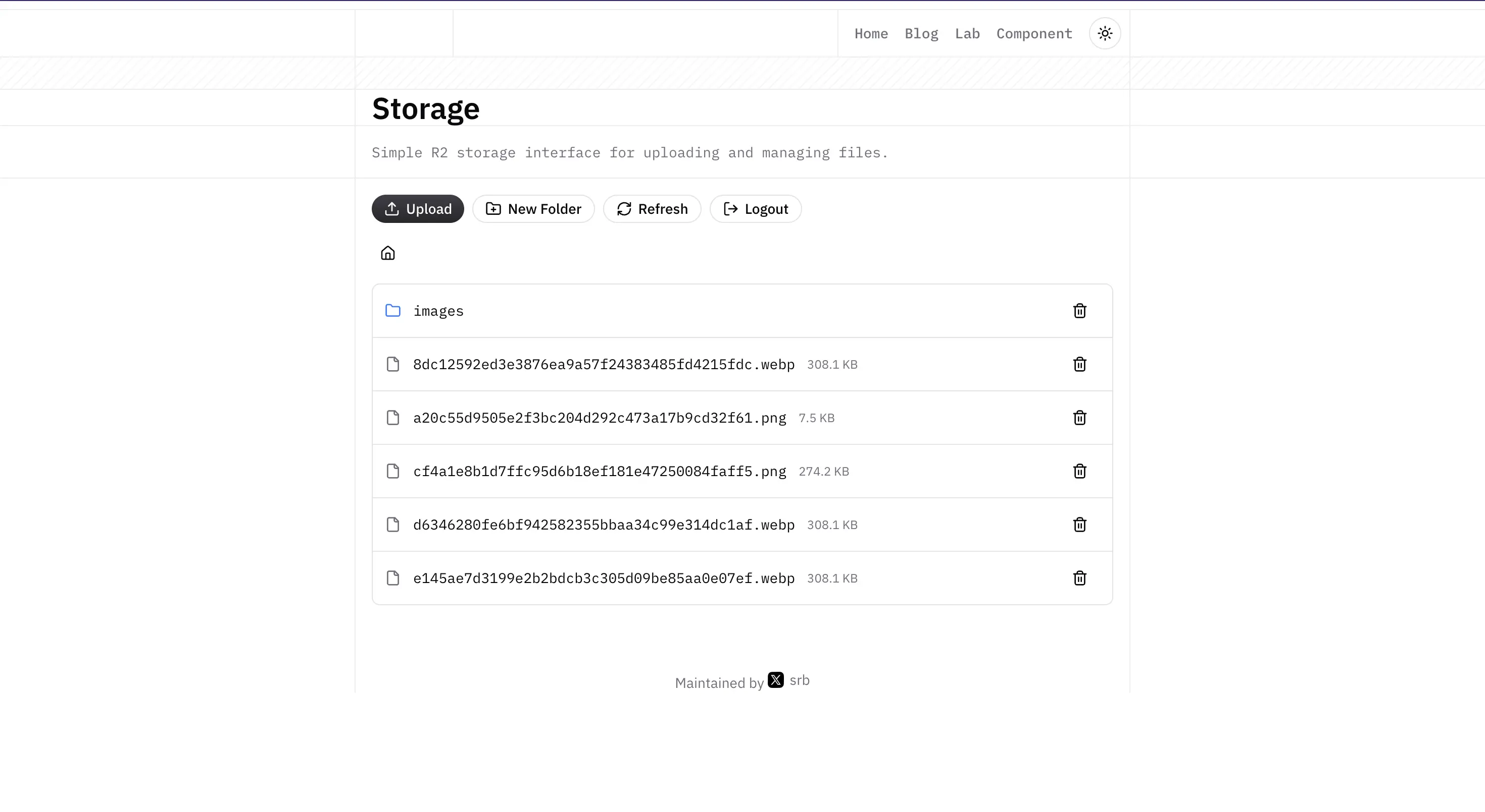 Storage Manager light preview